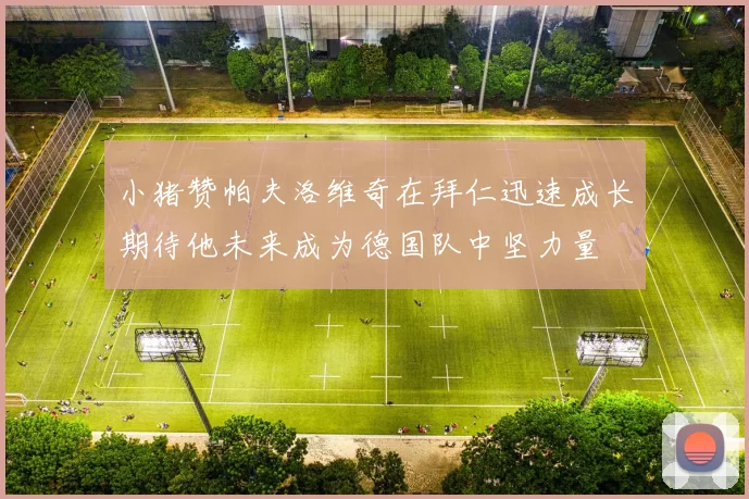 小猪赞帕夫洛维奇在拜仁迅速成长期待他未来成为德国队中坚力量